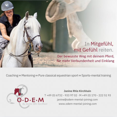 Imagefilm Reiterin auf einem weißen Pferd, umgeben von einer natürlichen Umgebung.